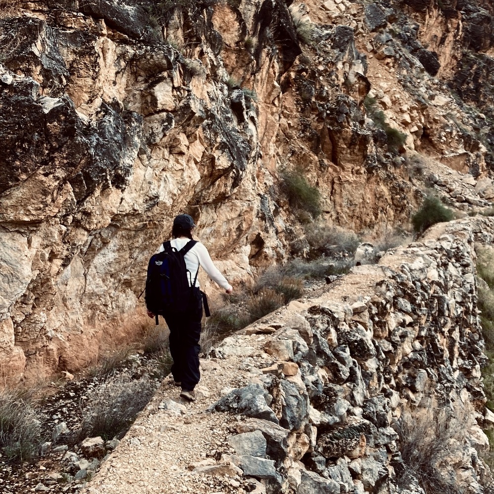 Meet your Posher, Talia